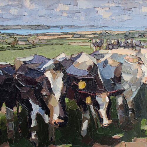 Cattle at Trewince. Oil on canvas. 41x35cm. Sold