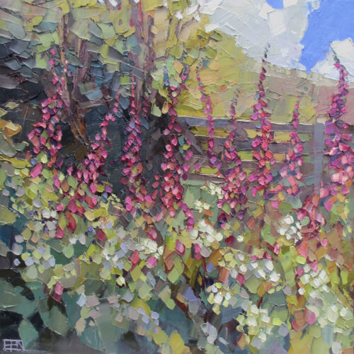 Foxgloves, Curgurrell