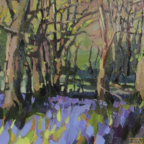 Bluebells at Melinsey