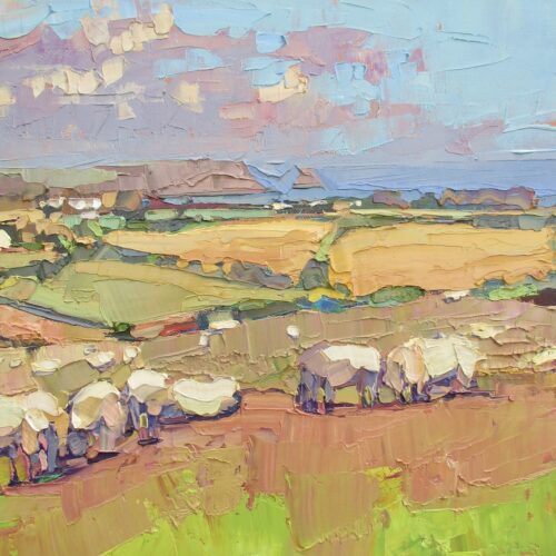 Sheep on a a hot day
